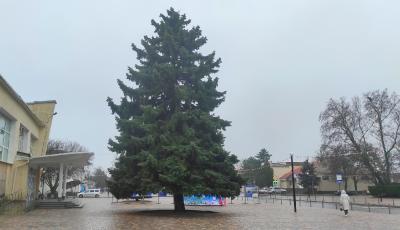 Прикрепленное изображение: IMG_20211216_184017_resize_99.jpg